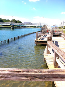港区を水と緑の都にしたいのです。①芝浦運河の可能性その１ 