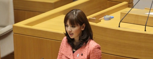 港区議会議員やなざわ亜紀